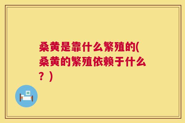 桑黄是靠什么繁殖的(桑黄的繁殖依赖于什么?) 桑黄是靠什么繁殖的(桑黄的繁殖依赖于什么?)