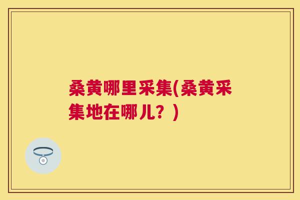 桑黄哪里采集(桑黄采集地在哪儿?) 桑黄哪里采集(桑黄采集地在哪儿?)