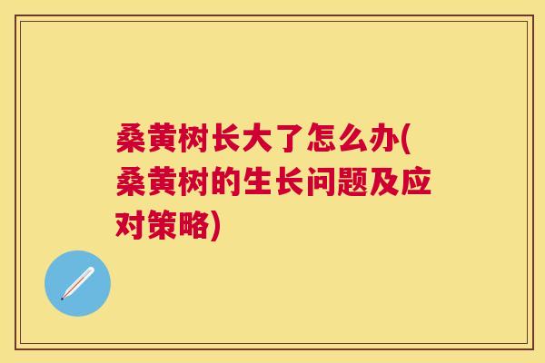 桑黄树长大了怎么办(桑黄树的生长问题及应对策略) 桑黄树长大了怎么办(桑黄树的生长问题及应对策略)