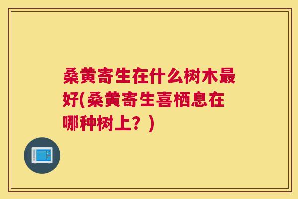 桑黄寄生在什么树木好(桑黄寄生喜栖息在哪种树上?) 桑黄寄生在什么树木好(桑黄寄生喜栖息在哪种树上?)