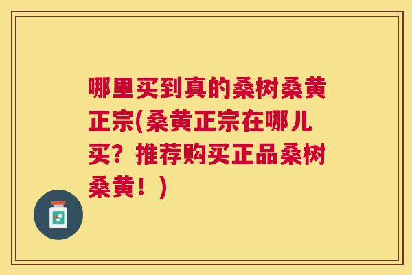 哪里买到真的桑树桑黄正宗(桑黄正宗在哪儿买?推荐购买正品桑树桑黄!) 哪里买到真的桑树桑黄正宗(桑黄正宗在哪儿买?推荐购买正品桑树桑黄!)