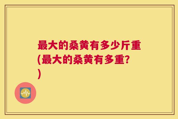 大的桑黄有多少斤重(大的桑黄有多重?) 大的桑黄有多少斤重(大的桑黄有多重?)