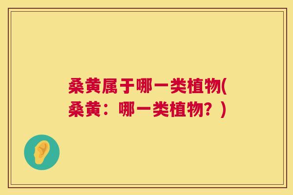 桑黄属于哪一类植物(桑黄:哪一类植物?) 桑黄属于哪一类植物(桑黄:哪一类植物?)