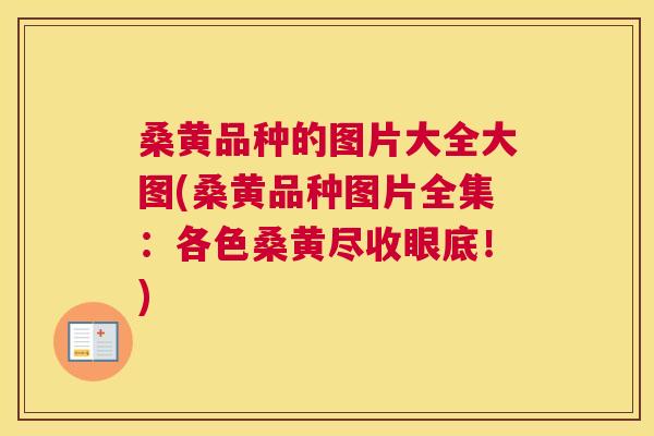 桑黄品种的图片大全大图(桑黄品种图片全集:各色桑黄尽收眼底!) 桑黄品种的图片大全大图(桑黄品种图片全集:各色桑黄尽收眼底!)