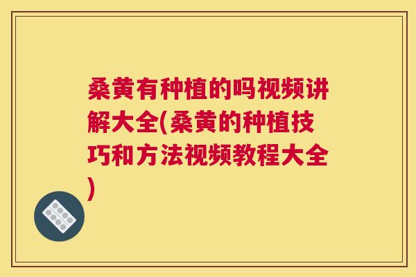 桑黄有种植的吗视频讲解大全(桑黄的种植技巧和方法视频教程大全)