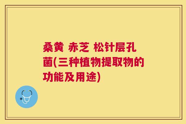 桑黄 赤芝 松针层孔菌(三种植物提取物的功能及用途) 桑黄 赤芝 松针层孔菌(三种植物提取物的功能及用途)