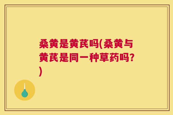 桑黄是黄芪吗(桑黄与黄芪是同一种草药吗?) 桑黄是黄芪吗(桑黄与黄芪是同一种草药吗?)