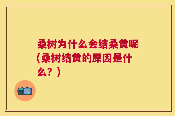 桑树为什么会结桑黄呢(桑树结黄的原因是什么?) 桑树为什么会结桑黄呢(桑树结黄的原因是什么?)