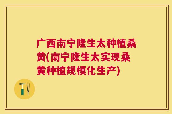 广西南宁隆生太种植桑黄(南宁隆生太实现桑黄种植规模化生产) 广西南宁隆生太种植桑黄(南宁隆生太实现桑黄种植规模化生产)