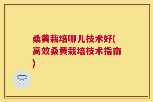 桑黄栽培哪儿技术好(高效桑黄栽培技术指南) 桑黄栽培哪儿技术好(高效桑黄栽培技术指南)