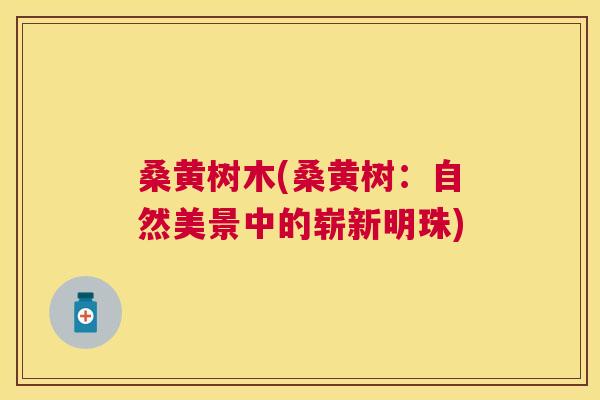 桑黄树木(桑黄树:自然美景中的崭新明珠) 桑黄树木(桑黄树:自然美景中的崭新明珠)
