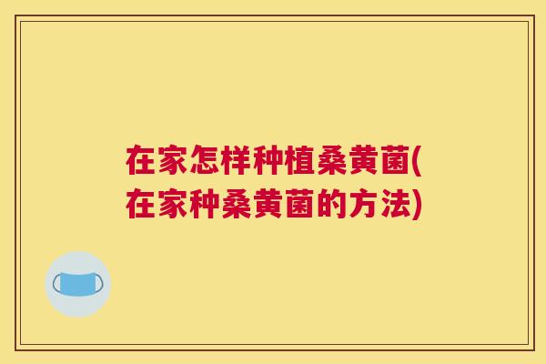 在家怎样种植桑黄菌(在家种桑黄菌的方法) 在家怎样种植桑黄菌(在家种桑黄菌的方法)