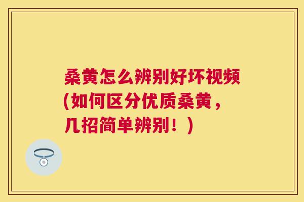 桑黄怎么辨别好坏视频(如何区分优质桑黄,几招简单辨别!) 桑黄怎么辨别好坏视频(如何区分优质桑黄,几招简单辨别!)