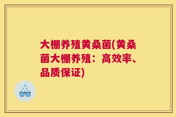 大棚养殖黄桑菌(黄桑菌大棚养殖:高效率、品质保证) 大棚养殖黄桑菌(黄桑菌大棚养殖:高效率、品质保证)