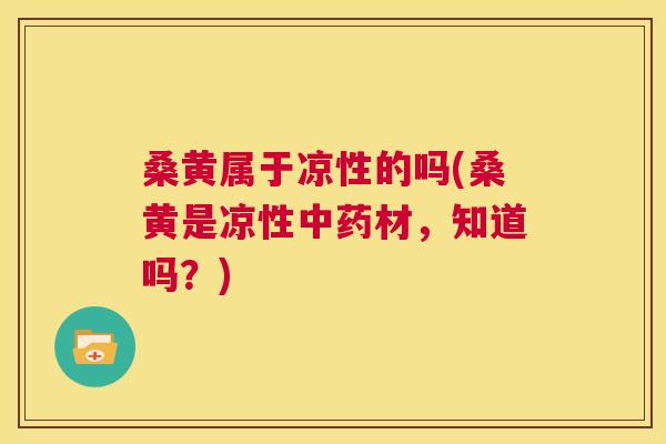 桑黄属于凉性的吗(桑黄是凉性材,知道吗?) 桑黄属于凉性的吗(桑黄是凉性材,知道吗?)