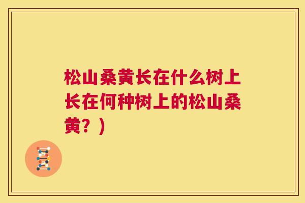 松山桑黄长在什么树上长在何种树上的松山桑黄?) 松山桑黄长在什么树上长在何种树上的松山桑黄?)