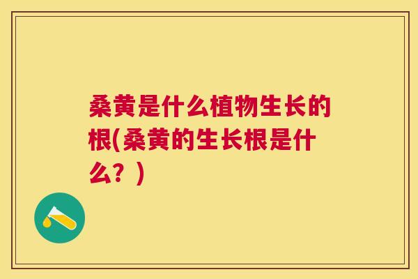 桑黄是什么植物生长的根(桑黄的生长根是什么?) 桑黄是什么植物生长的根(桑黄的生长根是什么?)