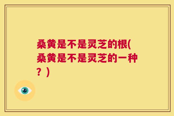 桑黄是不是灵芝的根(桑黄是不是灵芝的一种?) 桑黄是不是灵芝的根(桑黄是不是灵芝的一种?)