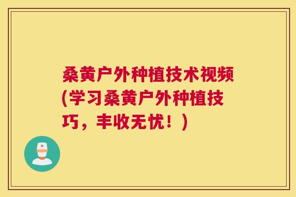 桑黄户外种植技术视频(学习桑黄户外种植技巧,丰收无忧!) 桑黄户外种植技术视频(学习桑黄户外种植技巧,丰收无忧!)
