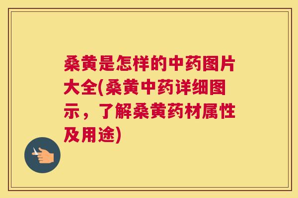桑黄是怎样的图片大全(桑黄详细图示,了解桑黄药材属性及用途) 桑黄是怎样的图片大全(桑黄详细图示,了解桑黄药材属性及用途)