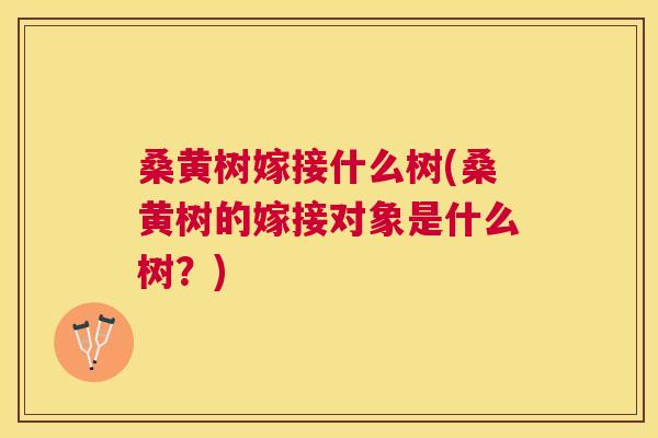 桑黄树嫁接什么树(桑黄树的嫁接对象是什么树?) 桑黄树嫁接什么树(桑黄树的嫁接对象是什么树?)