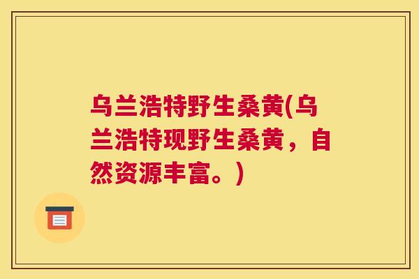 乌兰浩特野生桑黄(乌兰浩特现野生桑黄,自然资源丰富。) 乌兰浩特野生桑黄(乌兰浩特现野生桑黄,自然资源丰富。)