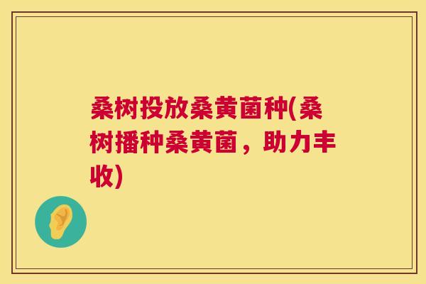 桑树投放桑黄菌种(桑树播种桑黄菌,助力丰收) 桑树投放桑黄菌种(桑树播种桑黄菌,助力丰收)