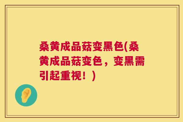桑黄成品菇变黑色(桑黄成品菇变色,变黑需引起重视!) 桑黄成品菇变黑色(桑黄成品菇变色,变黑需引起重视!)