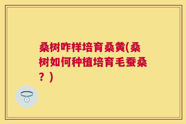 桑树咋样培育桑黄(桑树如何种植培育毛蚕桑?) 桑树咋样培育桑黄(桑树如何种植培育毛蚕桑?)