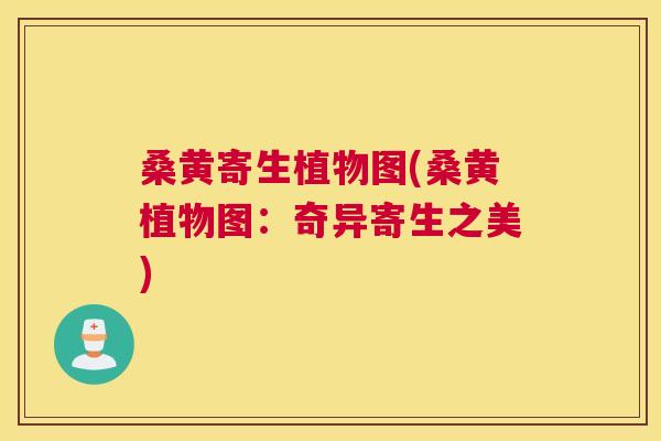 桑黄寄生植物图(桑黄植物图:奇异寄生之美) 桑黄寄生植物图(桑黄植物图:奇异寄生之美)