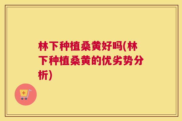 林下种植桑黄好吗(林下种植桑黄的优劣势分析) 林下种植桑黄好吗(林下种植桑黄的优劣势分析)