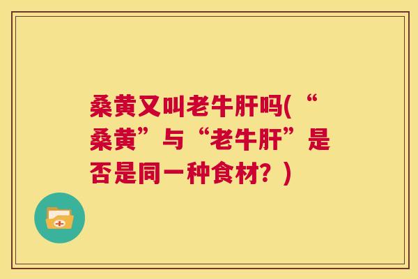 桑黄又叫老牛吗(“桑黄”与“老牛”是否是同一种食材?) 桑黄又叫老牛吗(“桑黄”与“老牛”是否是同一种食材?)