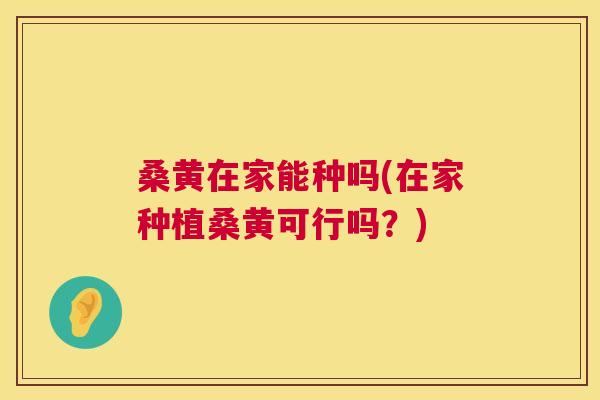桑黄在家能种吗(在家种植桑黄可行吗?) 桑黄在家能种吗(在家种植桑黄可行吗?)