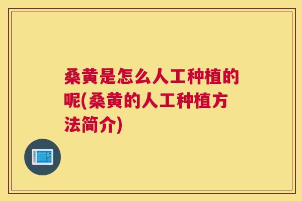 桑黄是怎么人工种植的呢(桑黄的人工种植方法简介) 桑黄是怎么人工种植的呢(桑黄的人工种植方法简介)