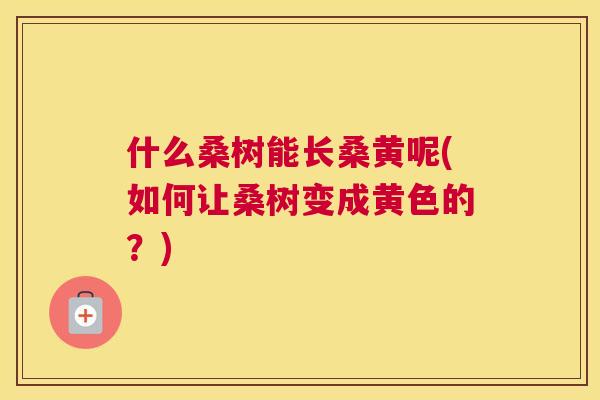 什么桑树能长桑黄呢(如何让桑树变成黄色的?) 什么桑树能长桑黄呢(如何让桑树变成黄色的?)