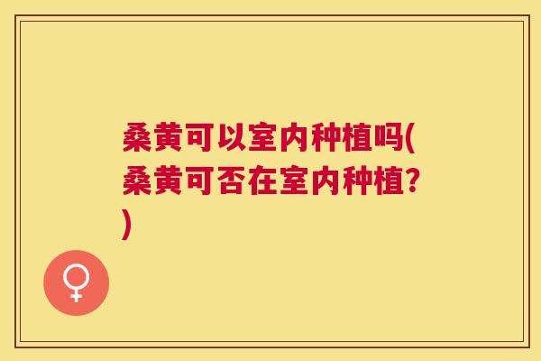 桑黄可以室内种植吗(桑黄可否在室内种植?) 桑黄可以室内种植吗(桑黄可否在室内种植?)