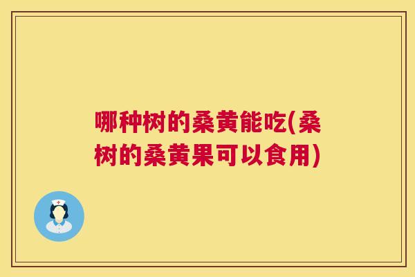 哪种树的桑黄能吃(桑树的桑黄果可以食用) 哪种树的桑黄能吃(桑树的桑黄果可以食用)