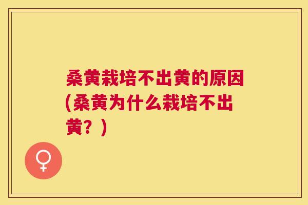 桑黄栽培不出黄的原因(桑黄为什么栽培不出黄?) 桑黄栽培不出黄的原因(桑黄为什么栽培不出黄?)