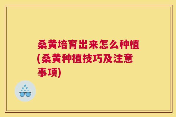 桑黄培育出来怎么种植(桑黄种植技巧及注意事项) 桑黄培育出来怎么种植(桑黄种植技巧及注意事项)