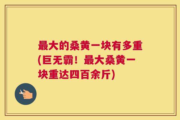 大的桑黄一块有多重(巨无霸!大桑黄一块重达四百余斤) 大的桑黄一块有多重(巨无霸!大桑黄一块重达四百余斤)
