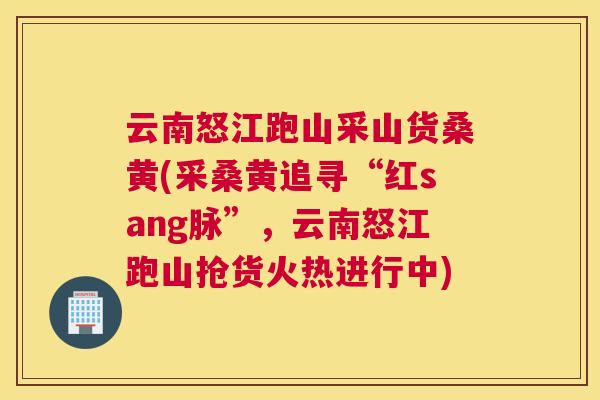 云南怒江跑山采山货桑黄(采桑黄追寻“红sang脉”,云南怒江跑山抢货火热进行中) 云南怒江跑山采山货桑黄(采桑黄追寻“红sang脉”,云南怒江跑山抢货火热进行中)
