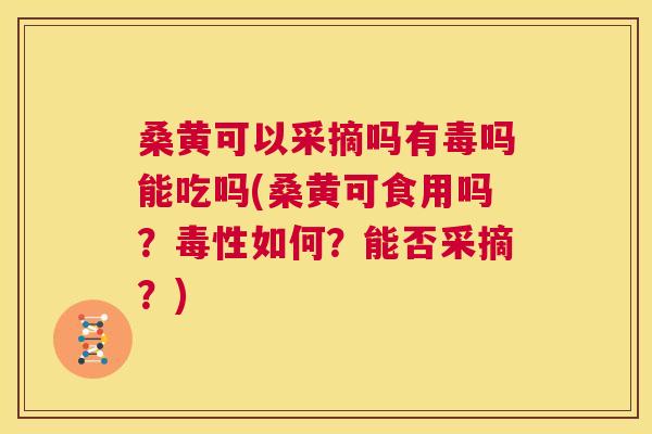 桑黄可以采摘吗有毒吗能吃吗(桑黄可食用吗?毒性如何?能否采摘?) 桑黄可以采摘吗有毒吗能吃吗(桑黄可食用吗?毒性如何?能否采摘?)