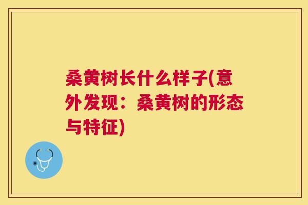 桑黄树长什么样子(意外发现:桑黄树的形态与特征) 桑黄树长什么样子(意外发现:桑黄树的形态与特征)