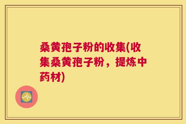 桑黄孢子粉的收集(收集桑黄孢子粉,提炼材) 桑黄孢子粉的收集(收集桑黄孢子粉,提炼材)