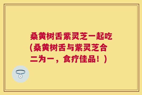 桑黄树舌紫灵芝一起吃(桑黄树舌与紫灵芝合二为一,食疗佳品!) 桑黄树舌紫灵芝一起吃(桑黄树舌与紫灵芝合二为一,食疗佳品!)