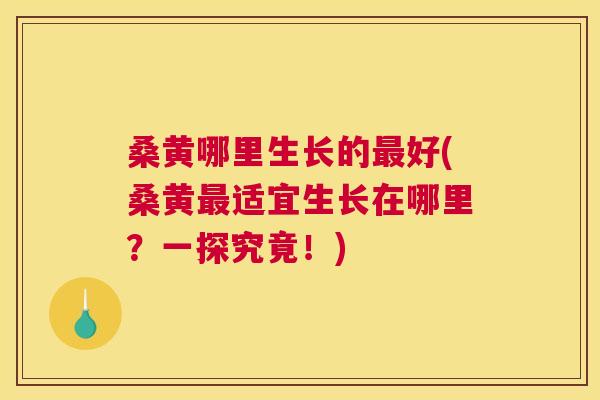 桑黄哪里生长的好(桑黄适宜生长在哪里?一探究竟!) 桑黄哪里生长的好(桑黄适宜生长在哪里?一探究竟!)