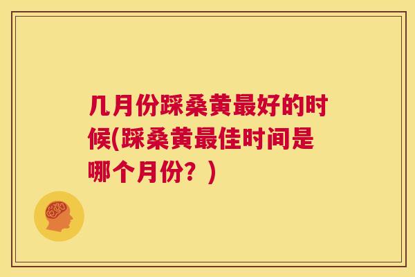 几月份踩桑黄好的时候(踩桑黄佳时间是哪个月份？)