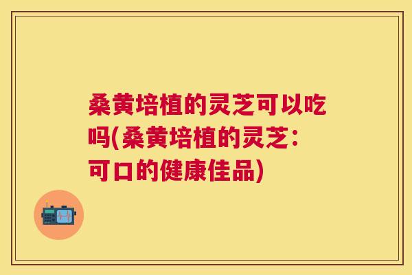 桑黄培植的灵芝可以吃吗(桑黄培植的灵芝:可口的健康佳品) 桑黄培植的灵芝可以吃吗(桑黄培植的灵芝:可口的健康佳品)