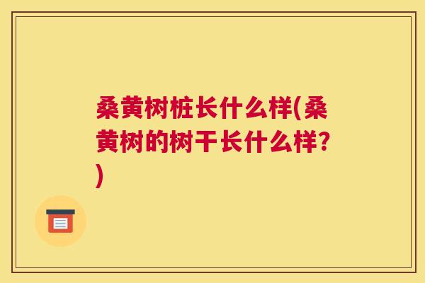 桑黄树桩长什么样(桑黄树的树干长什么样?) 桑黄树桩长什么样(桑黄树的树干长什么样?)