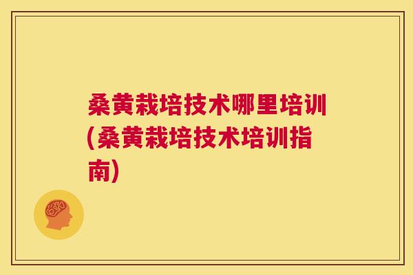 桑黄栽培技术哪里培训(桑黄栽培技术培训指南) 桑黄栽培技术哪里培训(桑黄栽培技术培训指南)
